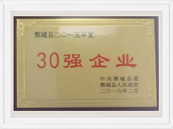 企業(yè)榮譽